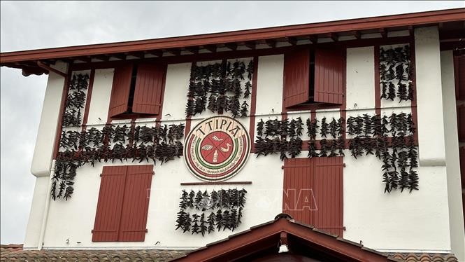 Khám phá vẻ đẹp ngôi làng ớt đỏ ở miền Nam nước Pháp ảnh 2