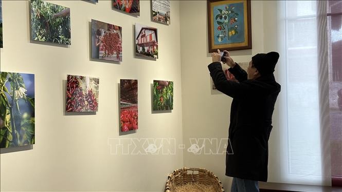 Khám phá vẻ đẹp ngôi làng ớt đỏ ở miền Nam nước Pháp ảnh 4