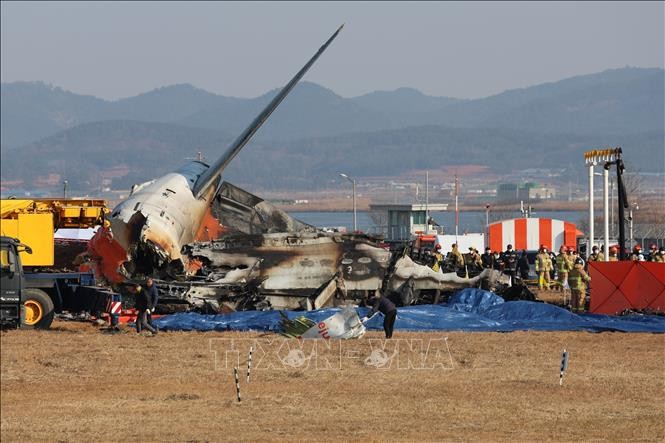 Xác nhận 179 người thiệt mạng, 2 người được cứu - Sự cố không liên quan đến vấn đề bảo dưỡng hay lịch trình bận rộn ảnh 1