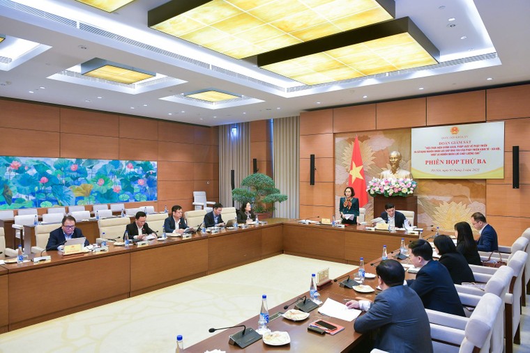 Giám sát việc thực hiện chính sách về phát triển và sử dụng nguồn nhân lực ảnh 1