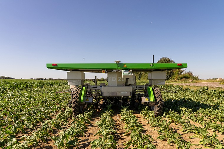 Diệt cỏ dại bằng robot AI - Tương lai của ngành nông nghiệp ảnh 1