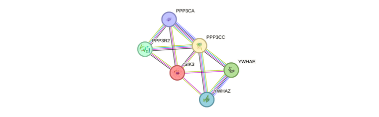 Phát hiện đột biến gene giúp con người sống khỏe với chỉ ngủ 3 giờ mỗi đêm ảnh 1