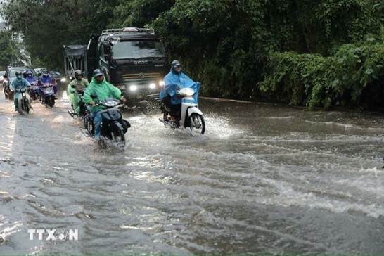 Thời tiết ngày 23/7: Tin cuối cùng về bão số 3, cảnh báo mưa cường suất lớn ảnh 2