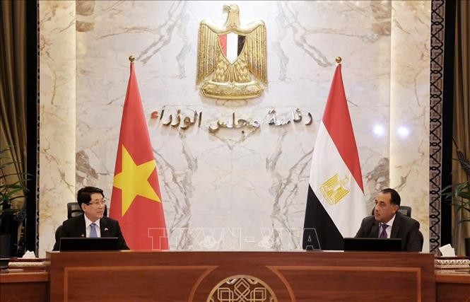 Nhất trí đẩy mạnh hợp tác kinh tế Việt Nam - Ai Cập theo hướng bền vững, cùng có lợi ảnh 1