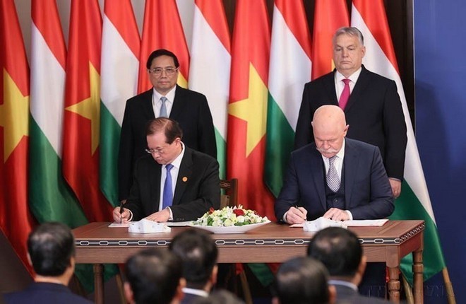 Phát huy và tăng cường hợp tác ngoại giao nghị viện Việt Nam-Hungary ảnh 4