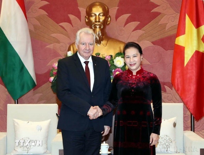 Phát huy và tăng cường hợp tác ngoại giao nghị viện Việt Nam-Hungary ảnh 3