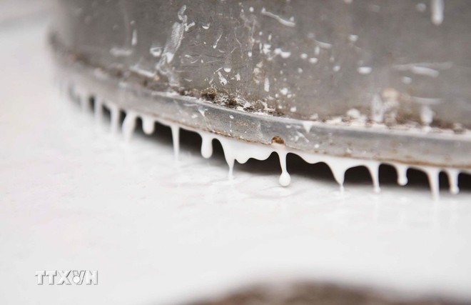 Nghề làm bánh đa nem Thổ Hà - Di sản phi vật thể vùng Kinh Bắc ảnh 1