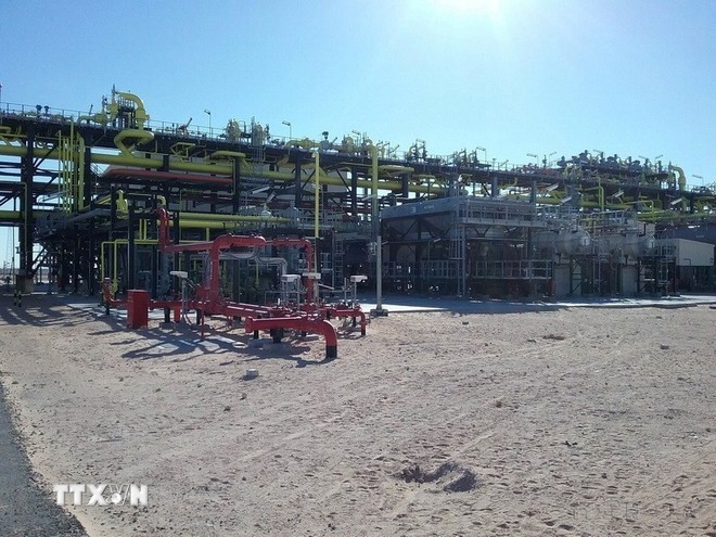 Chuyến thăm của Thủ tướng hứa hẹn nâng quan hệ Việt Nam-Algeria lên tầm cao mới ảnh 1