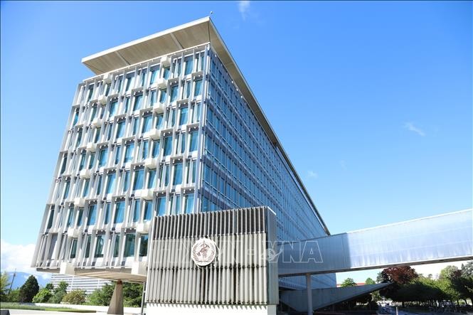 WHO định vị y học cổ truyền như một trụ cột của y tế toàn cầu ảnh 1