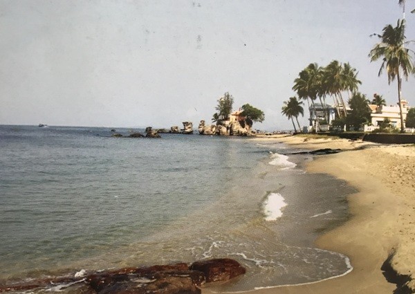 Phú Quốc rợp bóng… bê tông ảnh 1