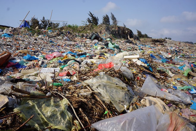 5km rừng phòng hộ ở Thanh Hóa cứ thủy triều lên là ngập rác ảnh 3