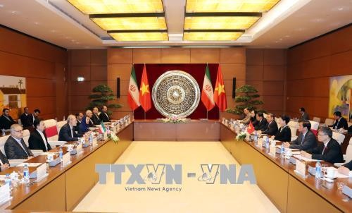 Chủ tịch Quốc hội đón, hội đàm với Chủ tịch Quốc hội Cộng hòa Hồi giáo Iran ảnh 1