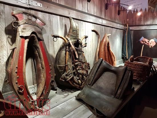 Việt Nam và Pháp hợp tác bảo tồn, phát triển công viên địa chất toàn cầu ảnh 9