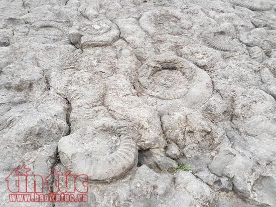 Việt Nam và Pháp hợp tác bảo tồn, phát triển công viên địa chất toàn cầu ảnh 1