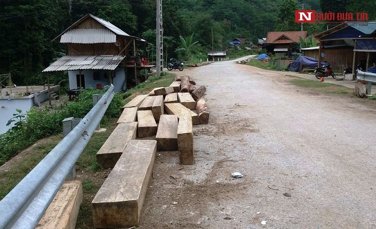 Nghệ An: Gỗ lậu nằm la liệt trên đường, chủ rừng có vô can? ảnh 2