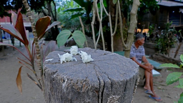 Hình ảnh đẹp mỗi sáng trên khắp đất nước Lào ảnh 10