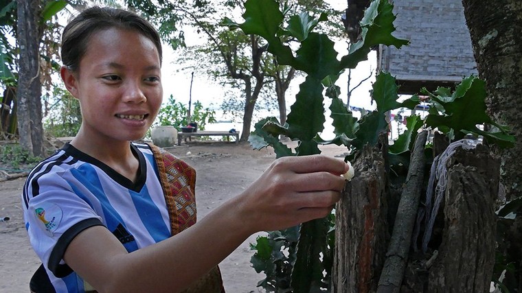 Hình ảnh đẹp mỗi sáng trên khắp đất nước Lào ảnh 9