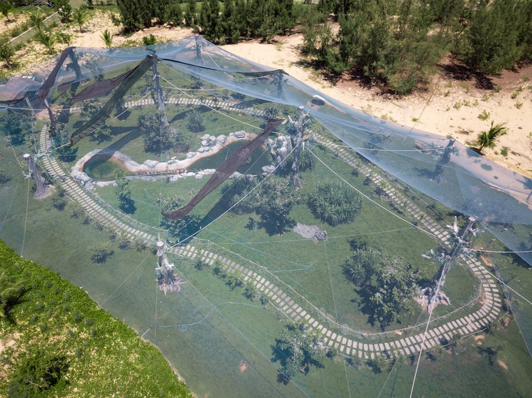 FLC Zoo Safari Park Quy Nhơn, địa điểm check in không thể bỏ lỡ mùa hè 2018 ảnh 2