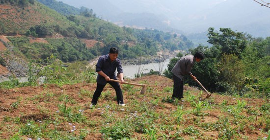 Sức sống nơi thượng nguồn sông Chảy ảnh 2