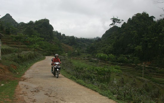 Sức sống nơi thượng nguồn sông Chảy ảnh 3