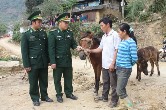 Sức sống nơi thượng nguồn sông Chảy ảnh 1
