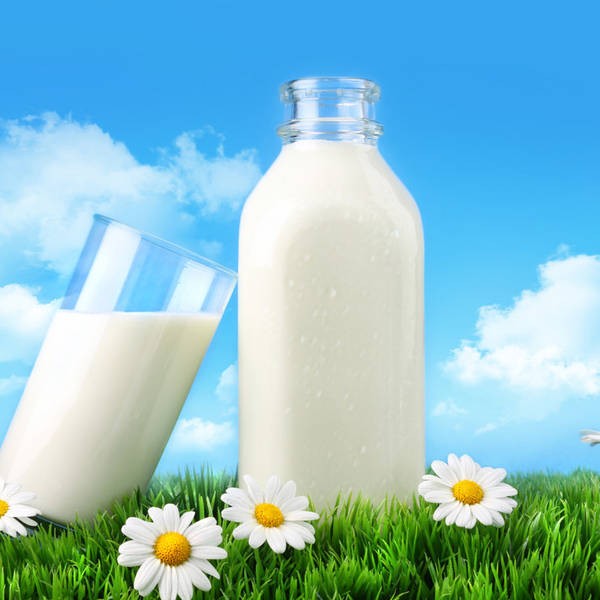 Mùa thi, sĩ tử nên ăn gì để tốt cho sức khỏe? ảnh 2