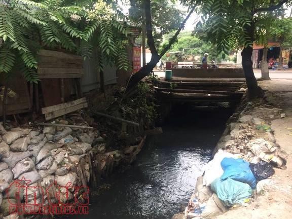 Sống mòn bên những dòng kênh chết giữa Thủ đô ảnh 12