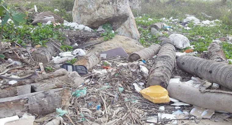 Quảng Ninh: Rác ngập ngụa bãi tắm ở đảo Tuần Châu ảnh 1