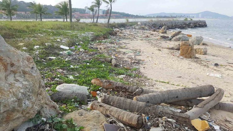 Quảng Ninh: Rác ngập ngụa bãi tắm ở đảo Tuần Châu ảnh 6
