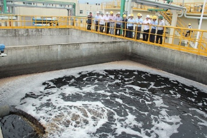 Vì sao Bộ TN-MT không thanh tra Formosa Hà Tĩnh trong năm 2018? ảnh 2