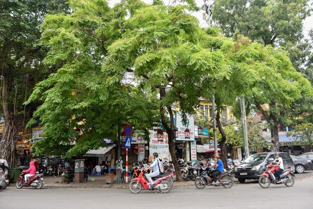 Máy bay nhầm đường băng và 'biệt phủ' trá hình ảnh 7