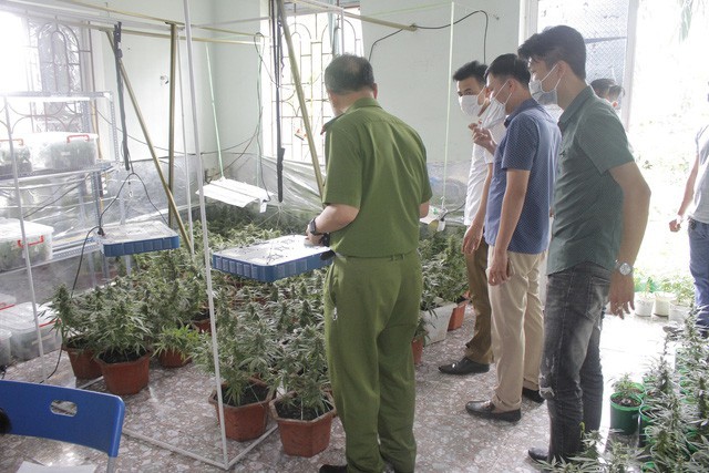 Máy bay nhầm đường băng và 'biệt phủ' trá hình ảnh 6