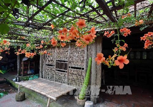 Từng bước giải quyết mâu thuẫn bảo tồn làng cổ Đường Lâm ảnh 1