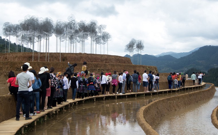 Xếp hàng xem mây pha lê trên ruộng bậc thang đang gây xôn xao ảnh 2
