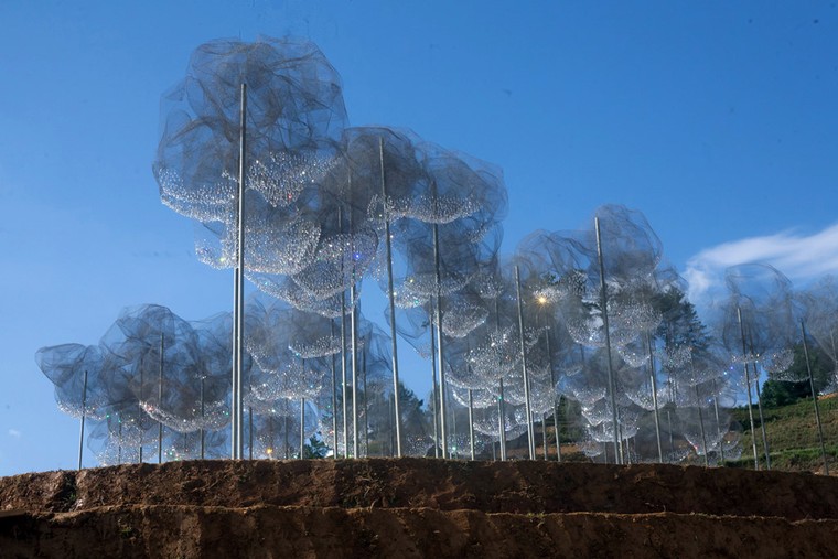 Xếp hàng xem mây pha lê trên ruộng bậc thang đang gây xôn xao ảnh 3