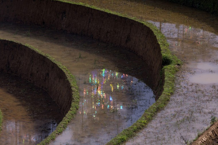 Xếp hàng xem mây pha lê trên ruộng bậc thang đang gây xôn xao ảnh 8