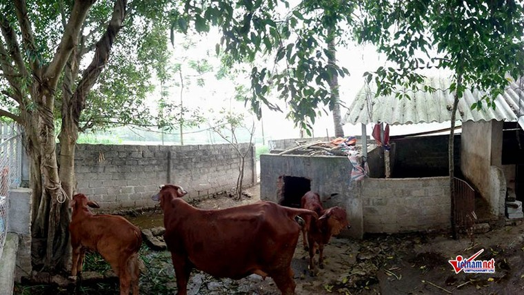 Đầu tư dự án nước sạch hàng chục tỷ đồng: Dân vẫn phải dùng nước giếng ảnh 2