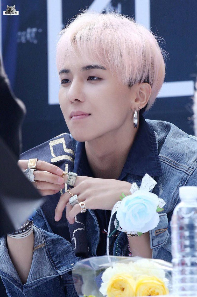 Đuổi sao Hàn về nước: Fan Việt đang tự bôi xấu hình ảnh? ảnh 2