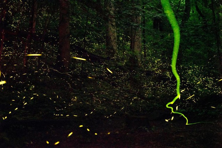 Những hiện tượng thiên nhiên đầy màu sắc trên thế giới ảnh 2