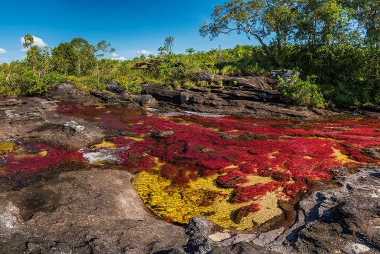 Những hiện tượng thiên nhiên đầy màu sắc trên thế giới ảnh 3