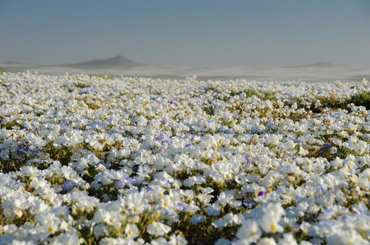 Những hiện tượng thiên nhiên đầy màu sắc trên thế giới ảnh 5