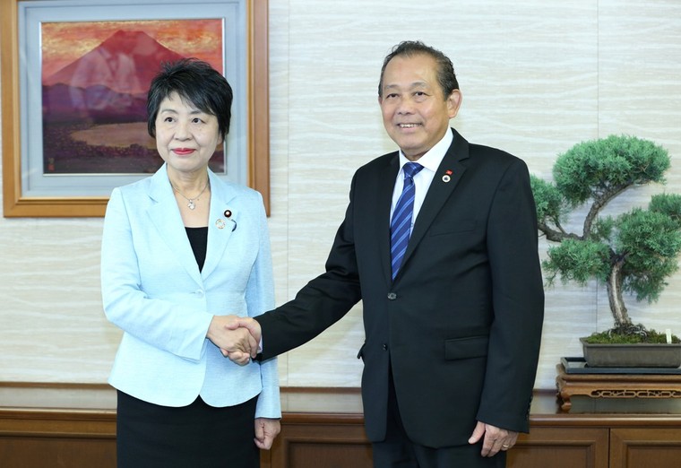 Phó Thủ tướng Trương Hòa Bình hội kiến Chủ tịch Thượng viện Nhật Bản, hội đàm với Phó Tổng thống Indonesia ảnh 2