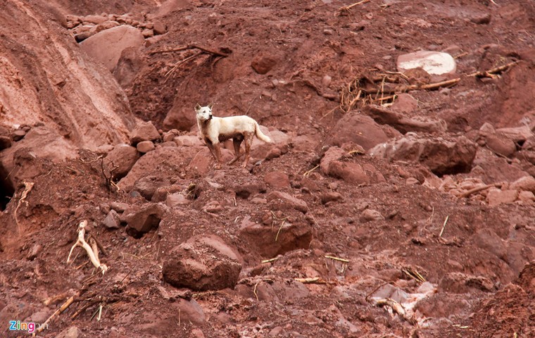 Hơn 50 người 'ngụp lặn' trong biển bùn tìm 5 nạn nhân mất tích ảnh 13