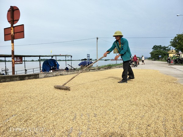 Dân Ninh Bình liều mình vượt lũ cứu tài sản bị nhấn chìm trong nước ảnh 10