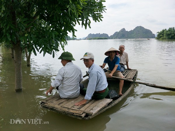 Dân Ninh Bình liều mình vượt lũ cứu tài sản bị nhấn chìm trong nước ảnh 3