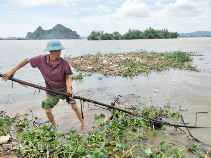 Dân Ninh Bình liều mình vượt lũ cứu tài sản bị nhấn chìm trong nước ảnh 4