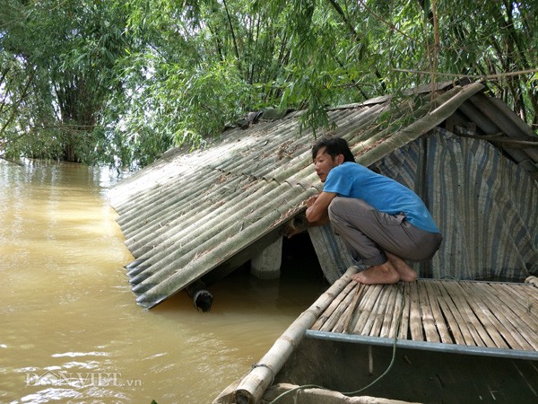 Dân Ninh Bình liều mình vượt lũ cứu tài sản bị nhấn chìm trong nước ảnh 6
