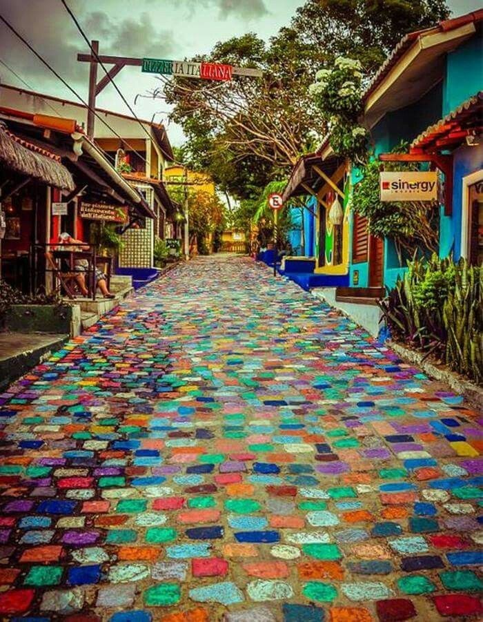 Khám phá bốn cung đường đa sắc tại Oyster Plus FLC Quảng Bình ảnh 1