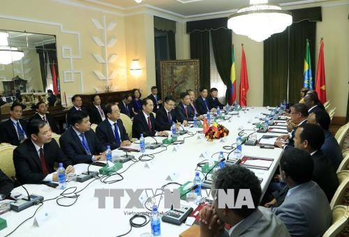Chủ tịch nước Trần Đại Quang hội đàm với Tổng thống Ethiopia ảnh 1