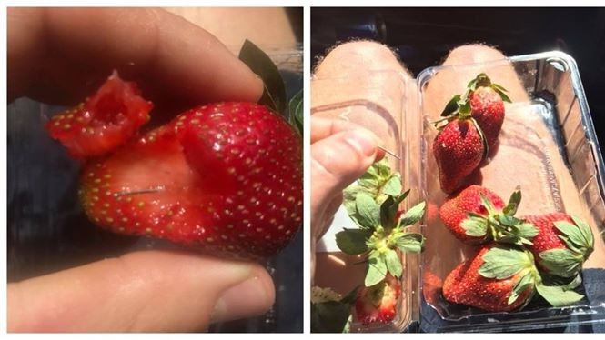 Người phụ nữ gốc Việt cắm kim vào dâu tây ở Úc nghi vì thù sếp ảnh 2